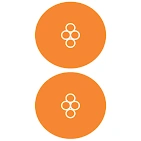 Biosystems Healthcare