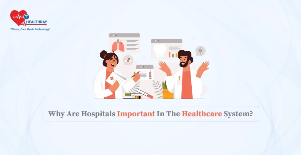 What is the significance of hospitals within the healthcare system?