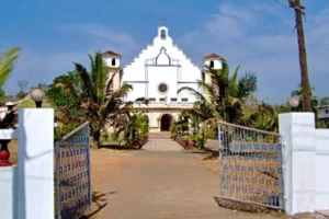 Best Lab Software In Curchorem