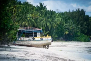 Best Lab Software In Great Nico Bar Island