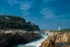 Best Lab Software In Jabalpur​