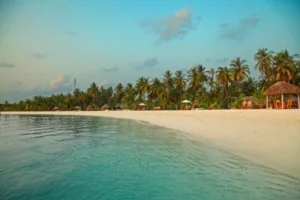 Best Lab Software In Lakshadweep