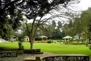 Best Lab Software In Madanriting​