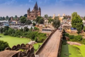 Best Lab Software In Mipi​