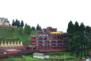 Best Lab Software In Rhenak​