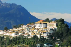 Best Lab Software In Tawang​