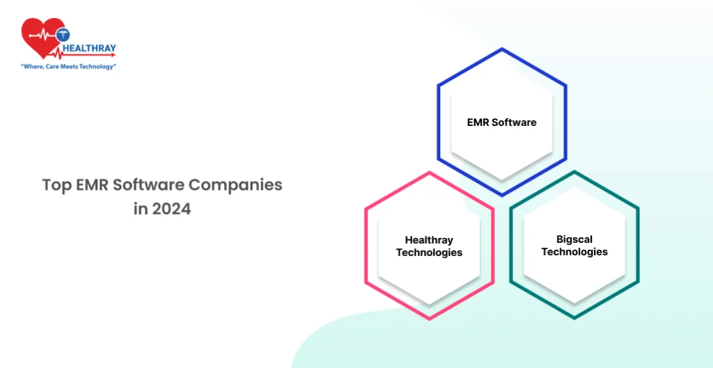 Top Emr Software Companies In 2024- Healthray