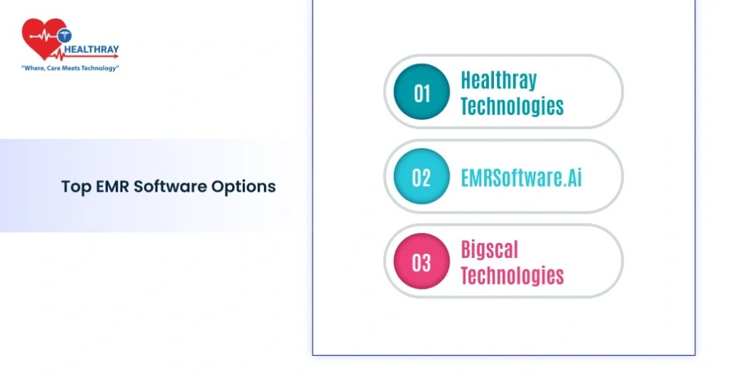 Top EMR Software Options - Healthray