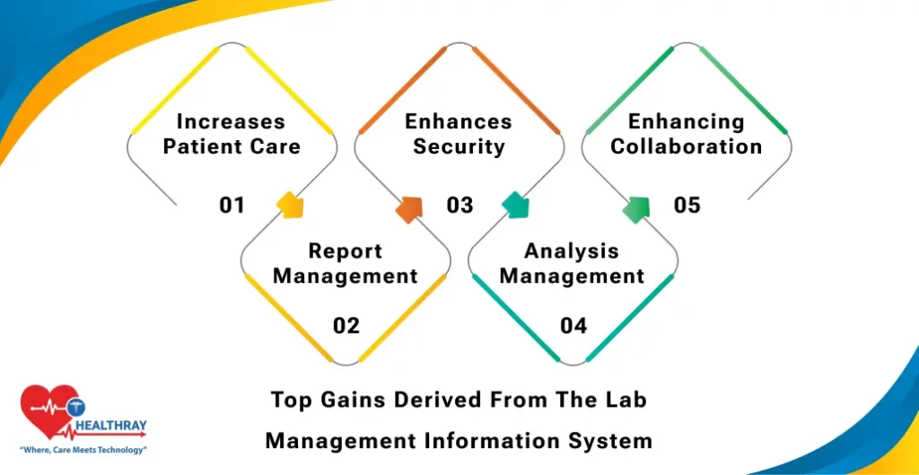 Top Gains Derived From The Lab Management Information System - Healthray