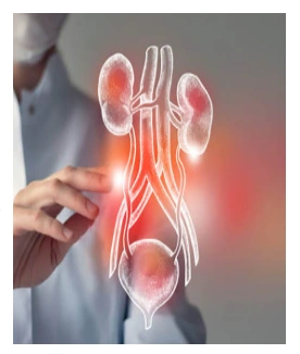 Urology 1