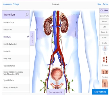 Urology 2